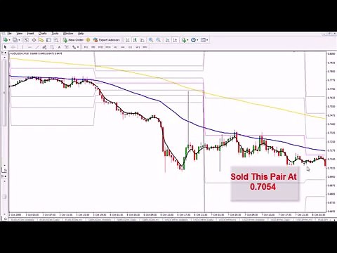Forex Trading System Strategy System Tips Charts Learning To Trade Investa Forex 2015