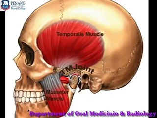 MUSCLES of mastication examination