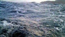 Mares Tempestuosos, Aventuras de Marcelo Ambrogi, Mar Leste, Mergulhos em apneia, Ubatuba, SP, Brasil, 21 de maio de 2015, (14)