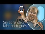 Hoje no TecMundo (24/02) - Siri em português, Pirate Bay fora do ar e novo smartphone da Positivo