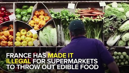 France Has Made It Illegal For Supermarkets To Throw Out Food