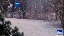 Big Snowflakes Fall From Sky