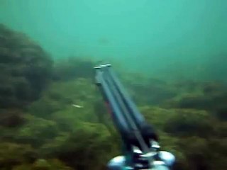 pesca sub basso fondo cagliari"orata"