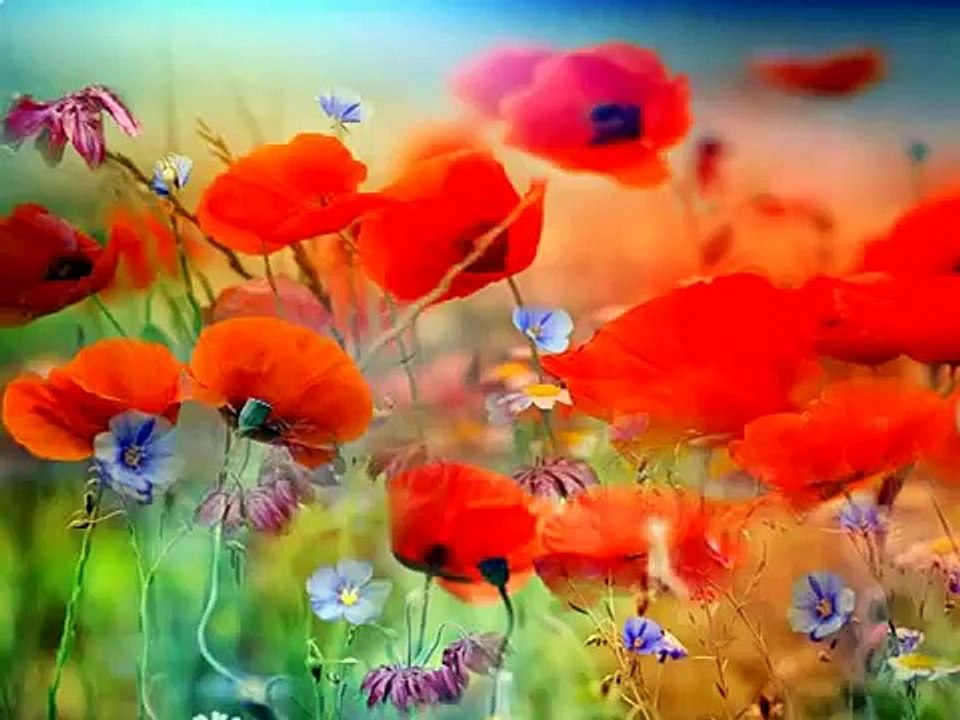 MI E DOR, ATAT DE DOR