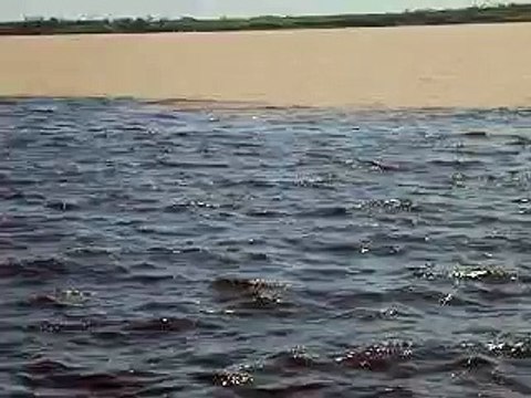 Encontro das Águas - Rio Negro e Solimões - Manaus - Amazonas - Brasil