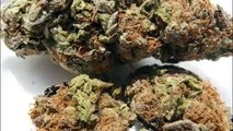 Cannabis Medicine: 10 Health Benefits of Marijuana