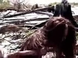 the most disturbing and shocking video THE REAL MERMAID BODY FOUND!!!! PARANORMAL