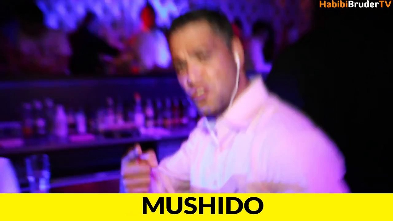 NR. 23 - HALT DIE FRESSE - CRO, BUSHIDO, KAY ONE, FARID BANG, SUMMER CEM (PARODIE 5) - HABIBI