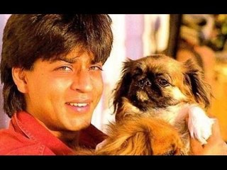 Oh No! Shahrukh Khan’s Dog Dash Passes Away