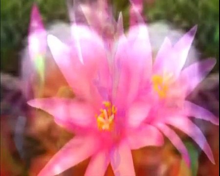 Hoy te vengo a buscar (Je reviens te chercher) de Charles Aznavour by Sir Flansi