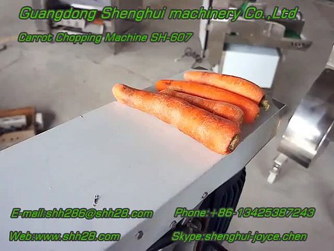 Máy xay tỏi ớt, máy xay hành tỏi, máy nghiền củ quả SH-607