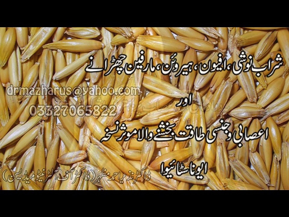 Avena Sativa Dr.na Mazhar (Dr of alternative medicine)