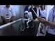 Murata Boy é um robô que se equilibra sozinho e anda de bicicleta [CES 2013] - Tecmundo