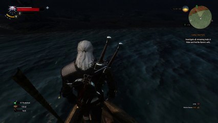 The Witcher 3: Wild Hunt (WTF)