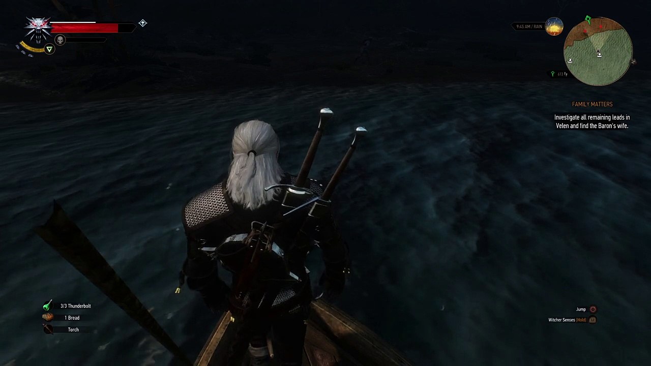 The Witcher 3: Wild Hunt (WTF)