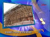 Lima: Promueven la construcción de viviendas a base de bambú