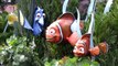 The Seas with Nemo & Friends Ride-through - EPCOT - Walt Disney World