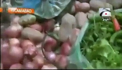 Tezaabi Tota on PM Nawaz Sharif