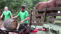A 1 Horse Power Log Splitter
