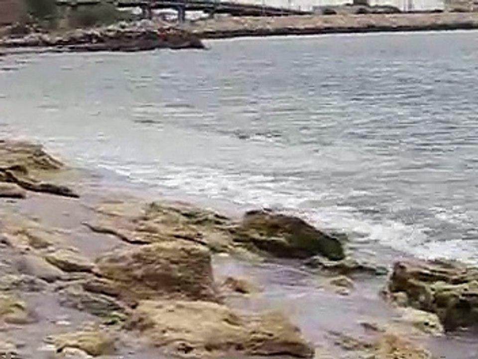 Eforie Nord 2007 Video Dailymotion