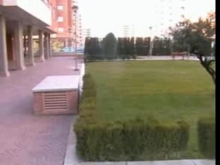 Parkour roof runners
