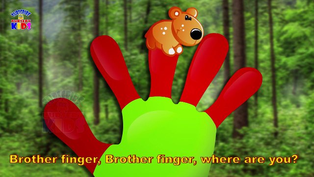 Animals Finger Family Songs - Nursery Rhymes & Songs For ChildrensKids - Latest Rhymes Videos