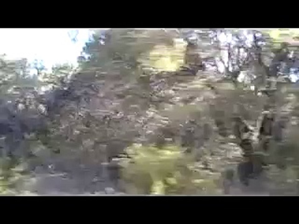 Real Texas Chainsaw Massacre House