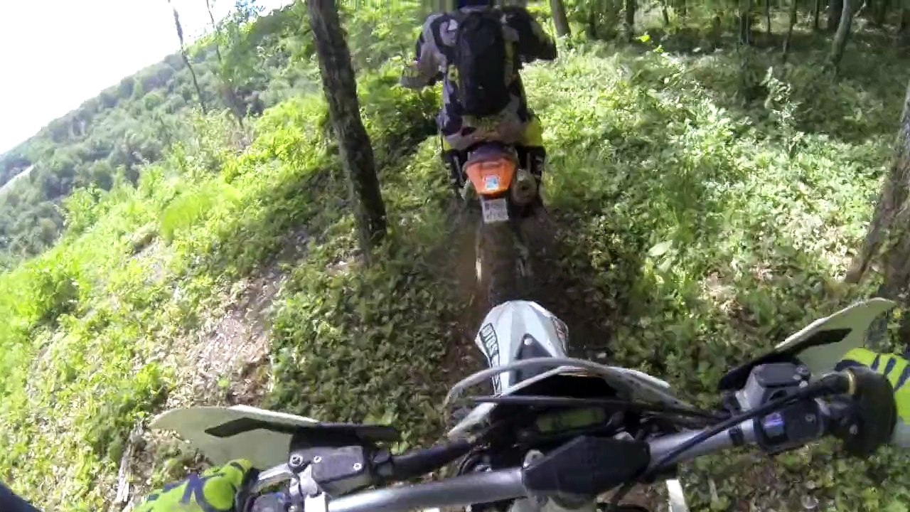 Sortie dans l'Aube 3