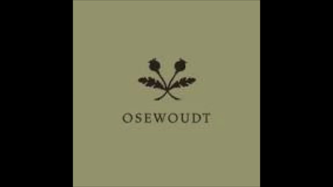 OSEWOUDT-NEON WINTER