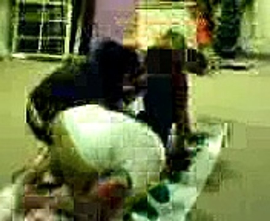 TÜRKÖZÜ RAKS KOMBİ SERVİSİ 0312-279 15 16-  RAKS