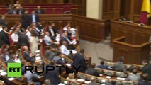 Rada brawl video: Ukraine parliament fistfight breaks out again