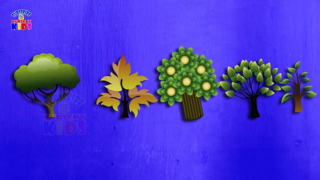 Tree Finger Family - Tree Finger Family Songs - Nursery Rhymes For KidsChildrens - Videos