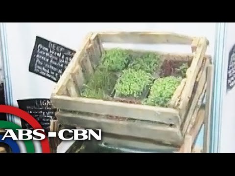 Have you tried 'slow food'?