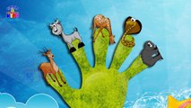 Animal Finger Family Song - Finger Family Song for Kids - Finger Family Song Animals - Daddy Finger