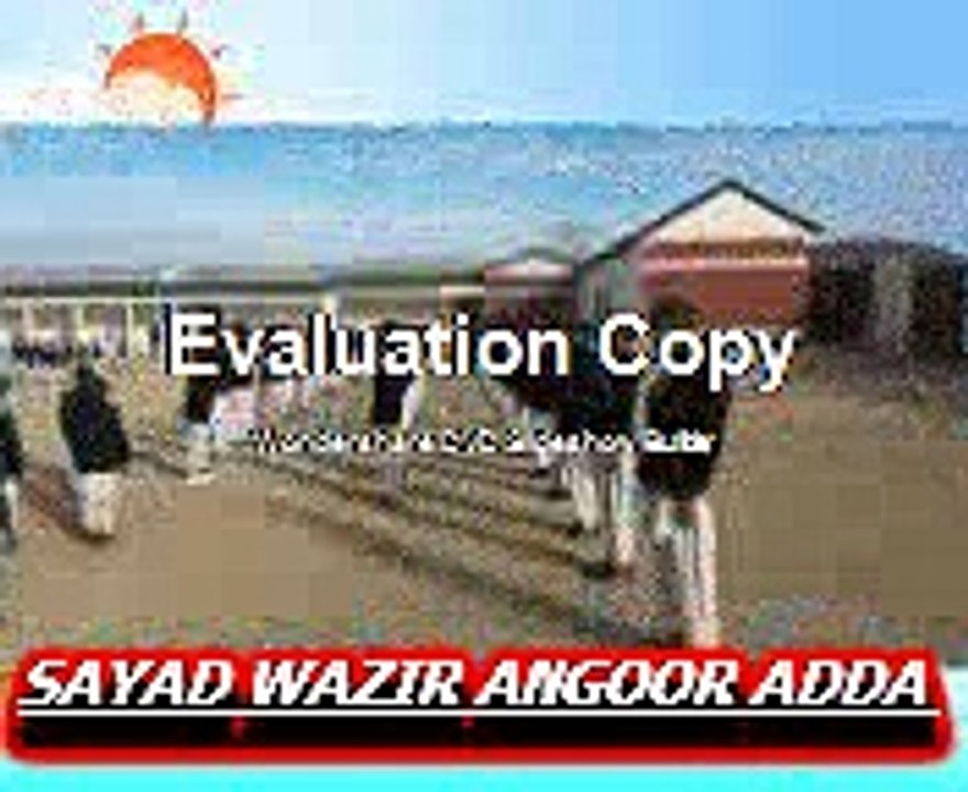 ABDUL AZIZ WAZIR (2)