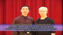 Gold Samba - Promenade & Counter Promenade Runs Ballroom Dance Lesson