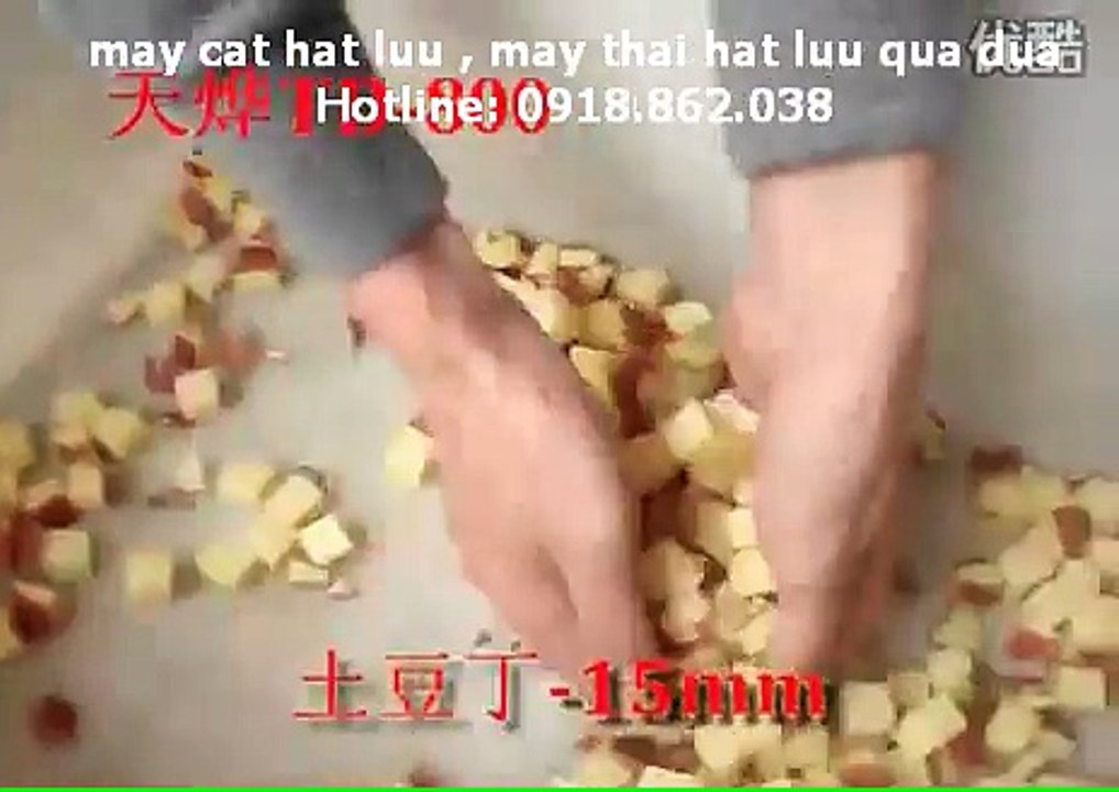 may thai hat luu 8mm, may thai khoai tay hat luu tu dong