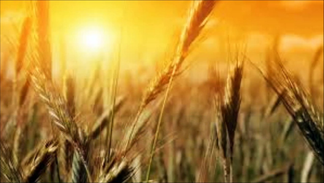 Ostara - The First Day of Summer