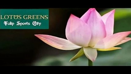 Welcome to Lotus Green Tulip Sports City