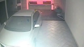 RObbers broke into a garage by Nicole Papadopoulos