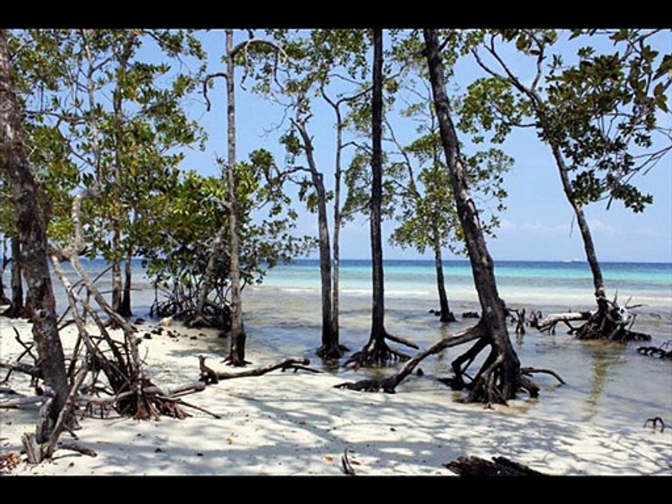 Holiday Guide Tours Presents - Honeymoon Packages Andaman