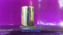 Magnetic Vortex Spin Demonstration by Magnetflipper