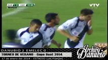 DANUBIO 2 - 0 Emelec / Final copa Suat 2014 / Resumen y festejos!