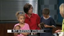 Veterinarian Answers Pet Questions From Viewers
