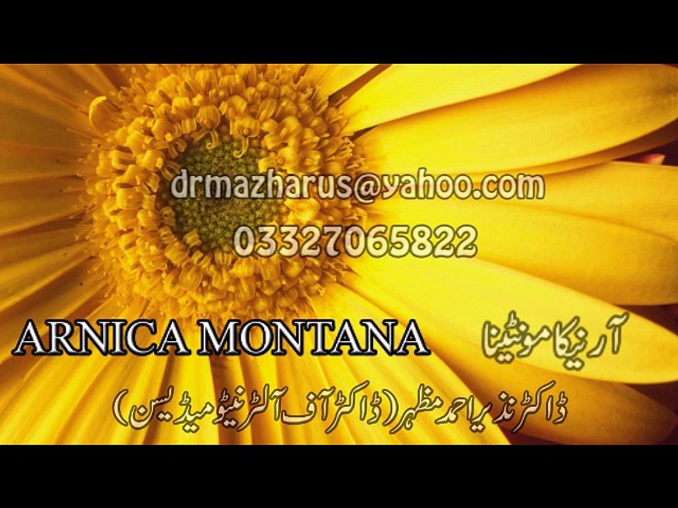 Arnica Montana Dr.na Mazhar (Dr of alternative medicine)