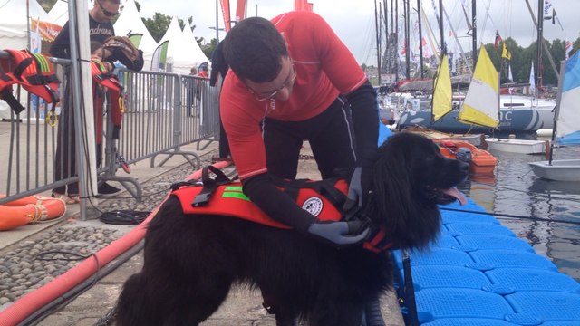 Normandy Channel Race