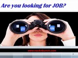 NaukriBunch - Find Jobs In Your Area Chandigarh, Mohali, Panchkula