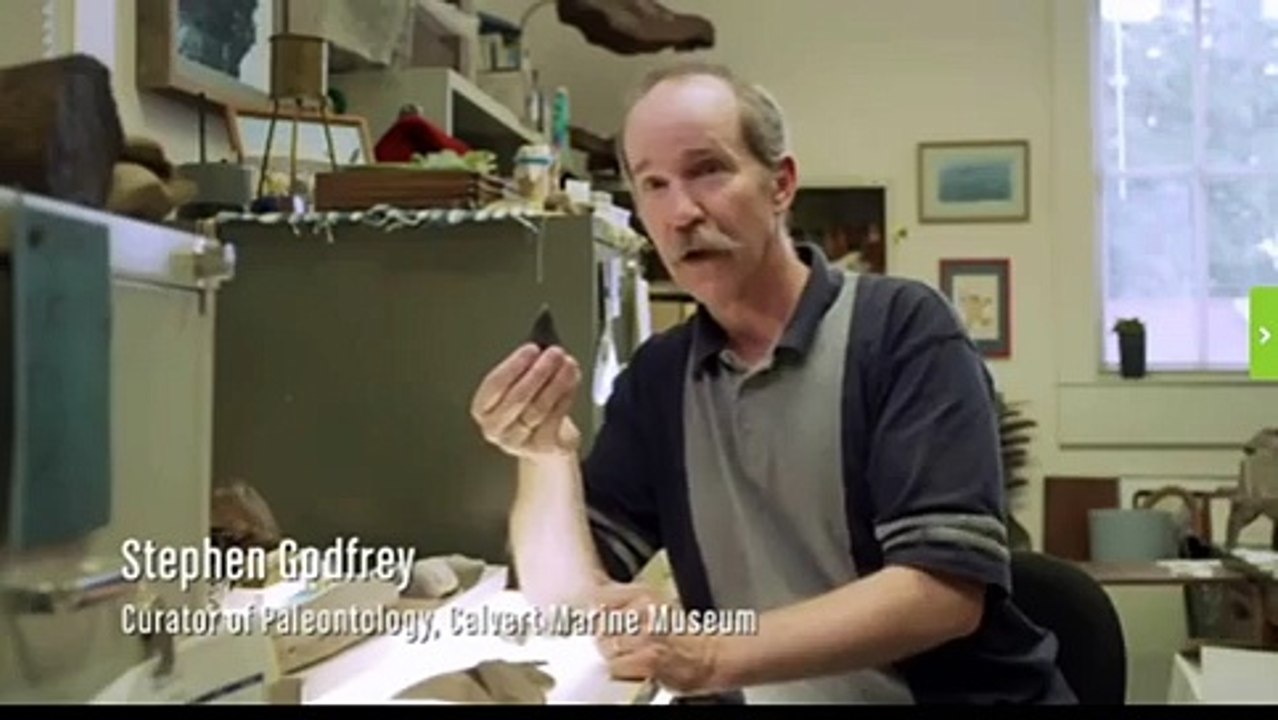 Megalodon Sharks still lives!! Evidence that MEGALODON is not extinct