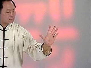Simple Qigong for Arthritis (YMAA) Dr. Yang, Jwing-Ming