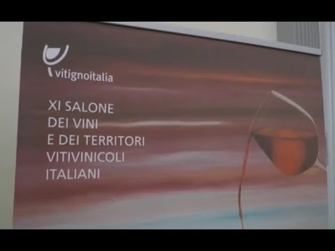 Napoli - Vitigno Italia , 11esima edizione del salone del vino (22.05.15)